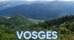 Retraite holistique de yoga et de naturopathie dans les Vosges